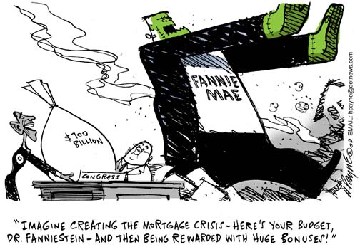 0317dBonusFanniesteinUFSCOLOR