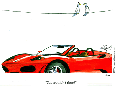 0718cartoonConvertibleBird