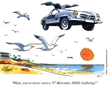 0726cartoonGullwing