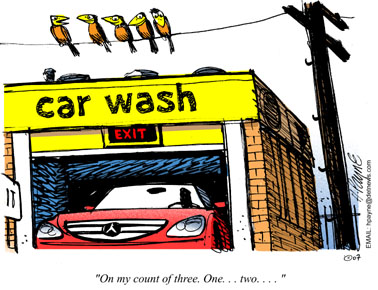 1016CARtoonCarWashBirds