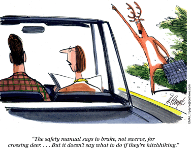 1129cartoonDeerSafety