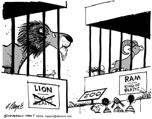 1103LionsRamsKingUFSGRAY