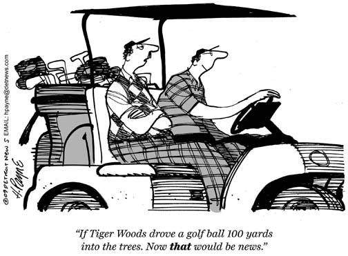 1130TigerCarCrashUFSGRAY