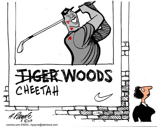 1203TigerCheetahWoodsUFSCOLOR