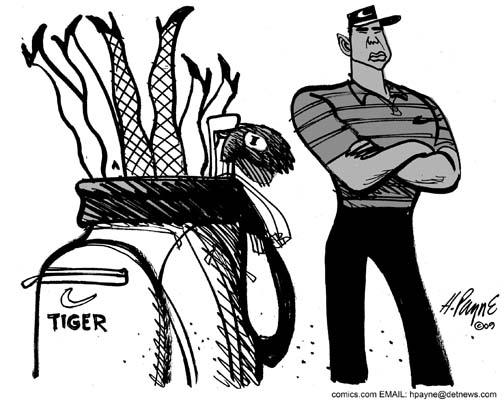 1214TigerGolfBagUFSGRAY