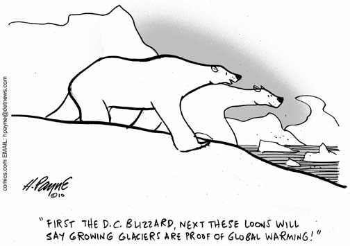 0215PlarBearsBlizzardWarmingUFSGRAY