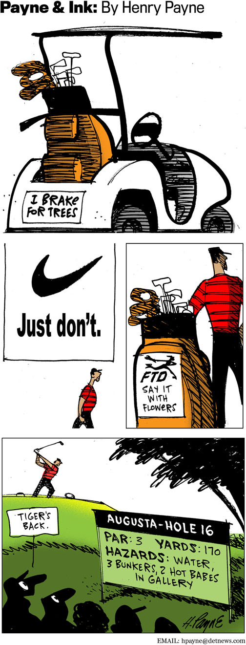 040810PayneInkTigerBack